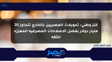 كنز وطني: تحويلات المصريين بالخارج تتجاوز 20 مليار دولار بفضل الإصلاحات المصرفية المعززة للثقة